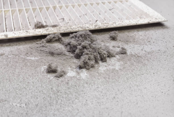 Best Air Duct Cleaning Near Me  in Cove Creek, NC