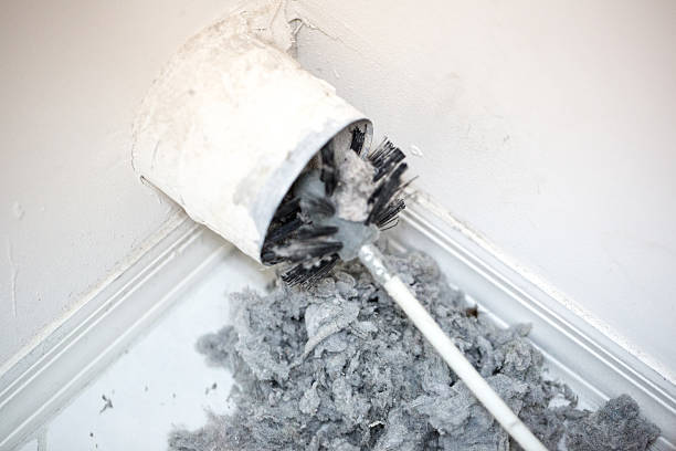 Best Affordable Air Duct Cleaning  in Cove Creek, NC
