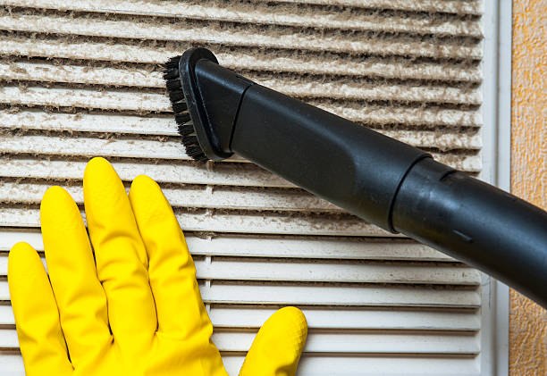 Best Air Duct Mold Removal  in Cove Creek, NC